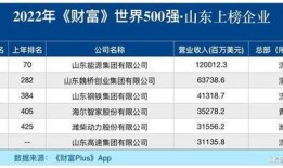 山东企业爆料最新消息,揭秘行业变革背后的秘密